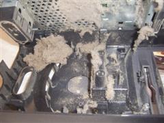 computers should be serviced at least once a year for dust