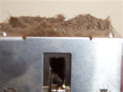 overheating may still cause permanent damage to the cpu and motherboard