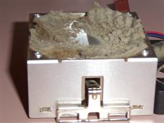 Cleaning should be performed by a computer professional with compressed air and a natural hair paint brush